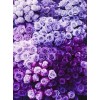 Purple flowers background - Tła - 