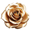 ROSE - Uncategorized - 