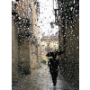 Rain - Priroda - 
