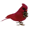 Red Bird - Животные - 