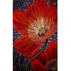 Red Floral background - My photos - 