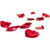 Red Rose Petals - Uncategorized - 