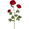 Red Roses - Natureza - 