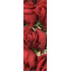 Red Roses - Rastline - 