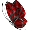 Red and Gray Butterfly - Uncategorized - 