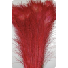Red feathers - Items - 