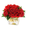 Red rose bouquet2 - Uncategorized - 