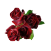 Red roses2 - Uncategorized - 