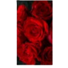 Red roses picture - Uncategorized - 