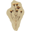 Ripped Paper Autumn Flowers - Natura - 