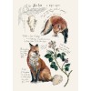 RivuletPaperShop etsy fox study - Иллюстрации - 