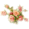 Rose　flower - Plants - 