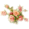 Rose　flower - Plantas - 