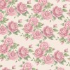Rose background - Fondo - 
