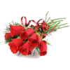 Rose flower - Rastline - 