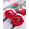 Rose flower - Edifici - 