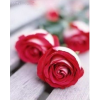 Rose flower - Здания - 