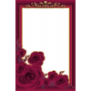 Rose - Frames - 