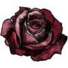 Rose - Rascunhos - 