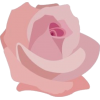 Rose - Rascunhos - 