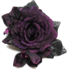 Rose - 植物 - 