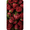 Rose - Rastline - 