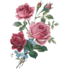 Roses Bouquet - Plantas - 