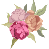 Roses Trio - Plantas - 