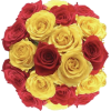 Roses - Plantas - 