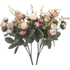 Roses - Plantas - 