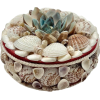 Round Seashell Jewelry Trinket Box 1950s - Предметы - 