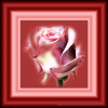 Ruža - Items - 
