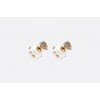 SMALL DIOR TRIBALES EARRINGS - Brincos - 