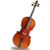Sandner Cello - Предметы - 