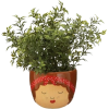 Sass & Belle planter - Rośliny - 