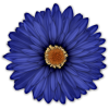 Scrapbook Flower Daisy Mum Sticker - Biljke - 