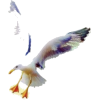 Sea Gull - Animais - 