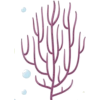 Seaweed - Ilustracje - 