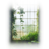 Semi Transparent Window - Zgradbe - 