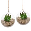 Set of 2 Decorative Clear Glass Globe / Hanging Air Plant Terrarium Planter / Candle Holder - MyGift - Plants - $15.99 
