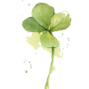 Shamrock - イラスト - 