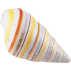 Shell - Objectos - 