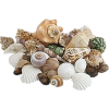 Shells - Objectos - 