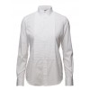 Shirt - Camicie (corte) - 