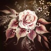 Single Rose background - フォトアルバム - 
