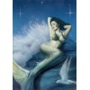 Sirena - Ilustracije - 