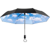 Sky Umbrella - Altro - 