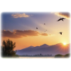 Sky Clouds Sun - Fondo - 