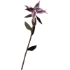 Skyrim Flower Nightshade - Pflanzen - 