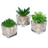 Small Glass Cube Artificial Plant Modern Home Decor / Faux Succulent Planter Pots, Set of 3 - MyGift - Plants - $14.99 